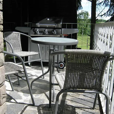 Attractive In Eifel With Paved Garden Apartament *