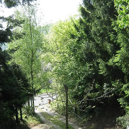 Attractive In Eifel With Paved Garden Apartament