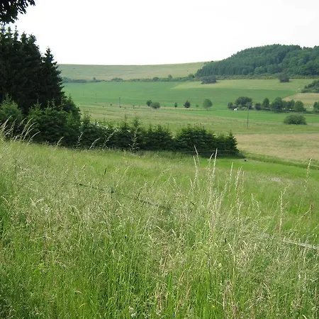 Attractive In Eifel With Paved Garden Apartament *